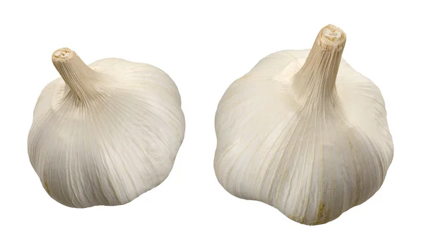 흰색으로 분리 된 마늘 — 스톡 사진
