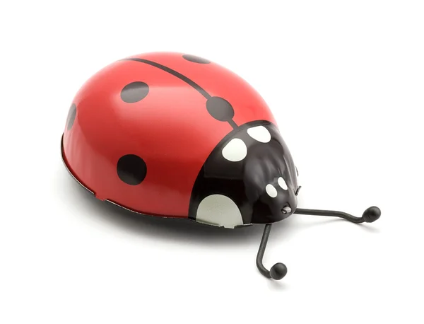 stock image Toy Ladybug isolated on white