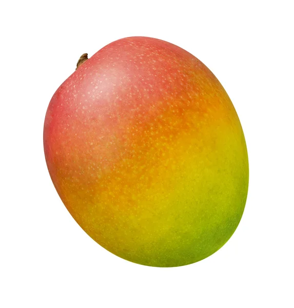 Mango aislado en blanco — Foto de Stock