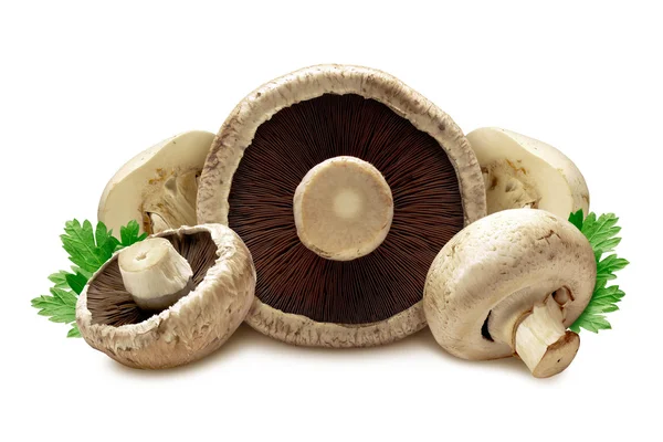Cogumelos isolados em branco — Fotografia de Stock