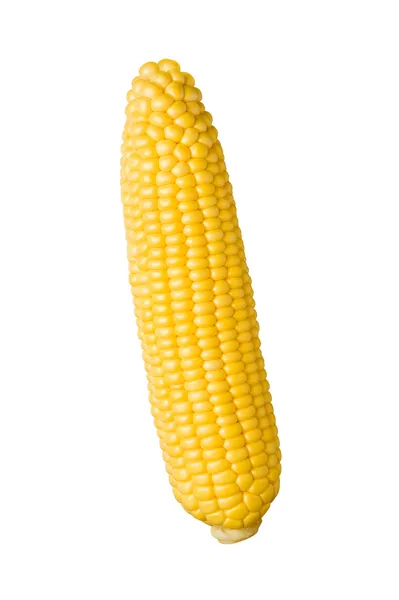 Wzruszający ucho kukurydzy na białym tle — Zdjęcie stockowe