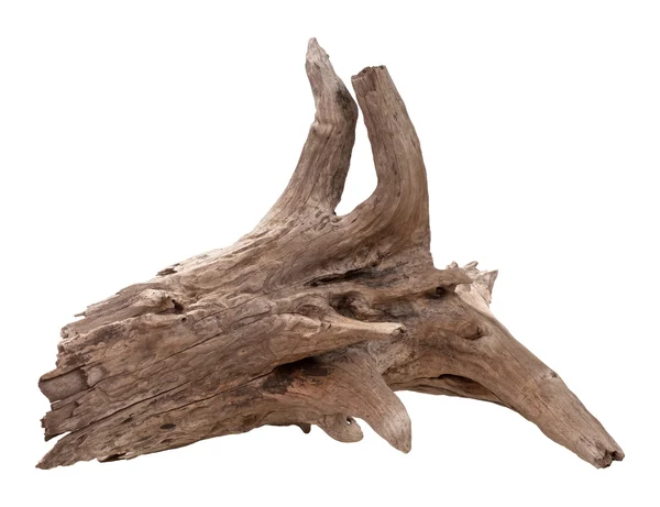 Velho Driftwood isolado em um fundo branco — Fotografia de Stock