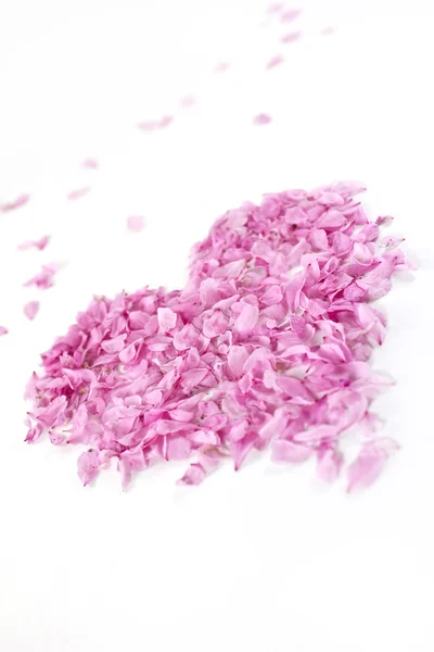 Srdce s růžovými lístky — Stock fotografie