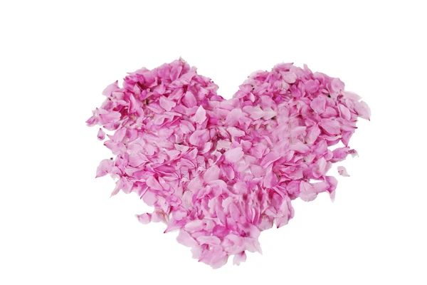 stock image Heart with pink petals