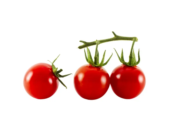 Cherry tomaten Stockafbeelding