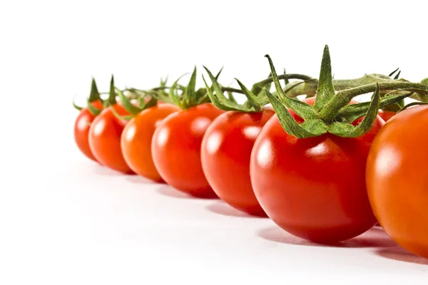 Cherry Tomaten opgesteld achter elkaar Rechtenvrije Stockfoto's