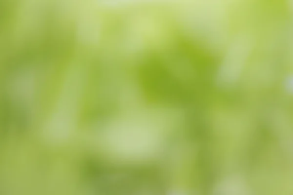 stock image Green background