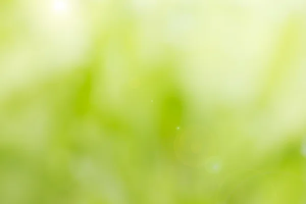 Green background Royalty Free Stock Images