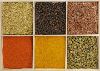 Six spices clipart