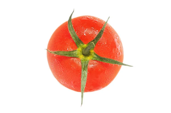 新鲜 tomatoe — 图库照片