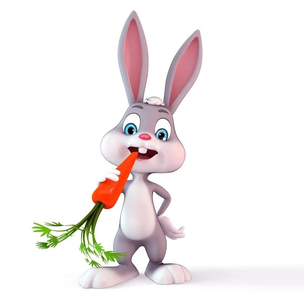 小兔子吃胡萝卜的人 — 图库照片