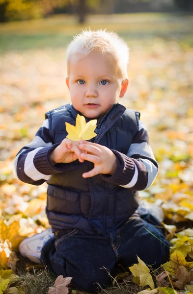 Cute young boy outdoors in nature. — Stock Photo, Image