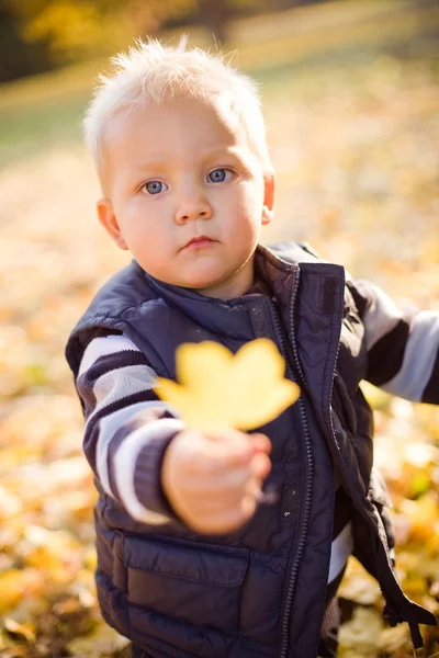 Cute young boy outdoors in nature. — Stock Photo, Image
