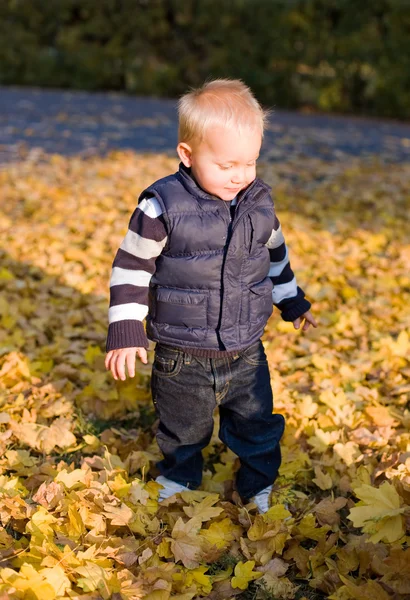 Schattige jonge jongen buiten in de natuur. — Stockfoto