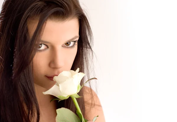 Retrato romántico de la hermosa joven morena con rosa blanca . —  Fotos de Stock