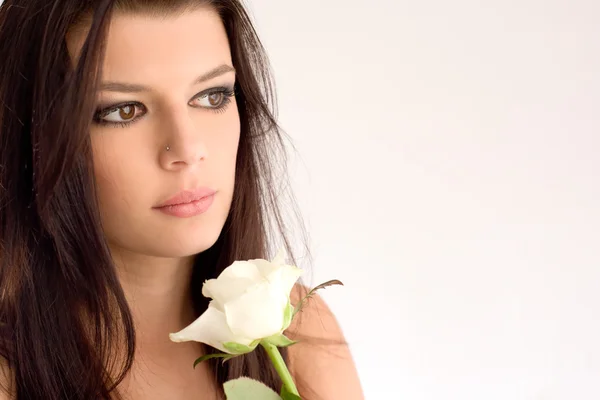 Retrato romántico de la hermosa joven morena con rosa blanca . — Foto de Stock