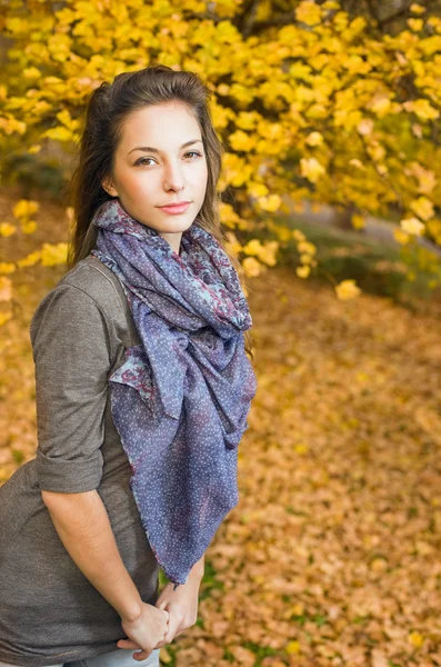 Autumn park and a beautiful brunette. — Stock Photo, Image