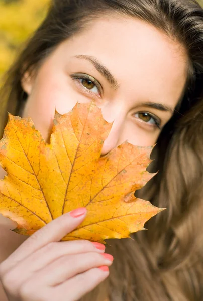 Podzimní listí peek-a-boo. — Stock fotografie