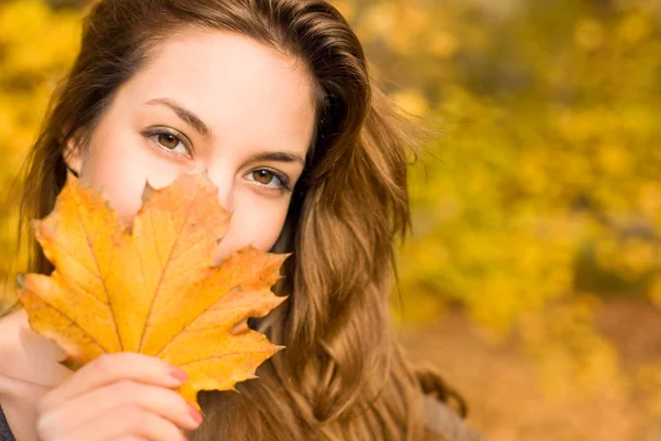 Leafy autumn beauty — Stock Photo, Image