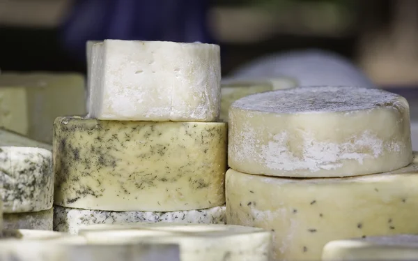 stock image Goat cheese at farmer's market.