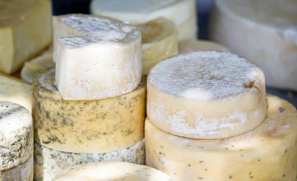 Stock image Goat cheese at farmer's market.