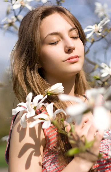 Spring beauty in de natuur met bloemen. — Stockfoto