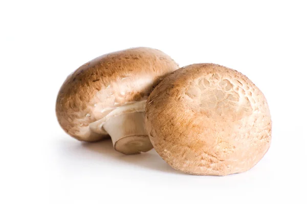 Fresh champignons isolated on white background. — Stock Photo, Image