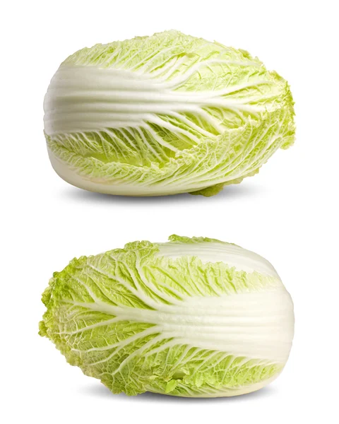 Κινέζικο λάχανο που απομονώνονται σε λευκό. — Φωτογραφία Αρχείου