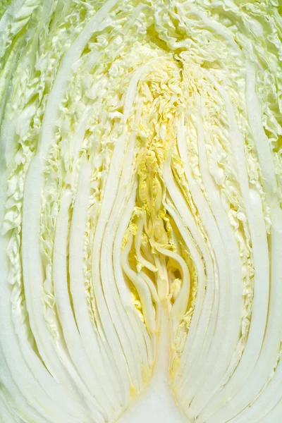 Halved cabbage cross section — Stock Photo, Image