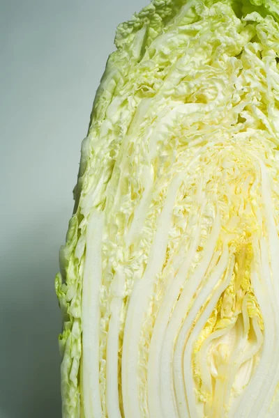Halved chinese cabbage macro detail. — Stock Photo, Image