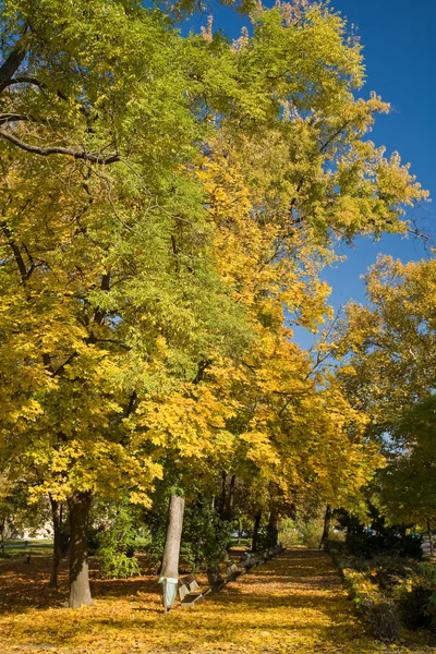 Beautiful autumn scenery — Stock Photo, Image