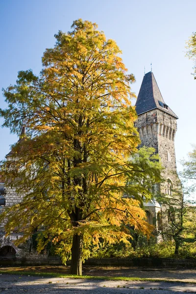 Beautiful autumn scenery — Stock Photo, Image