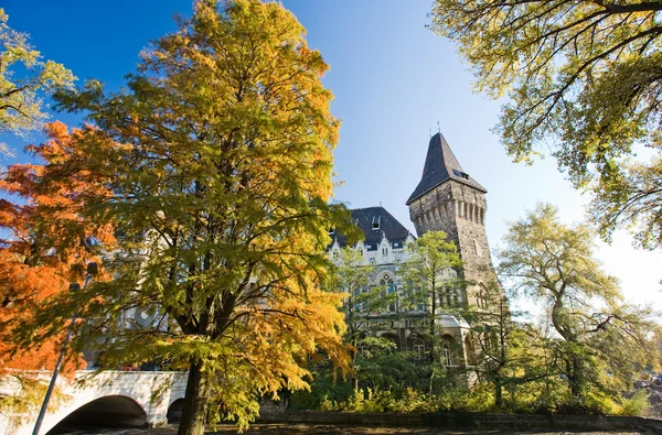 stock image Beautiful autumn scenery