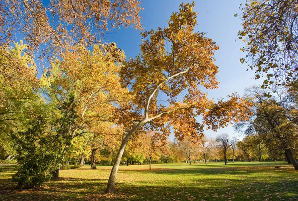 Beautiful colorful autumn scenery — Stock Photo, Image