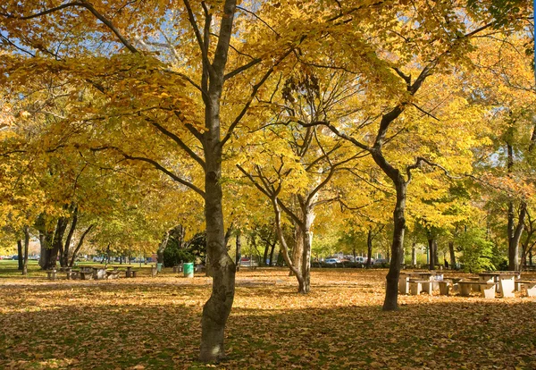 Beautiful colorful autumn scenery — Stock Photo, Image