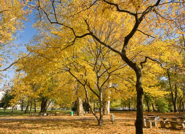 Beautiful colorful autumn scenery — Stock Photo, Image