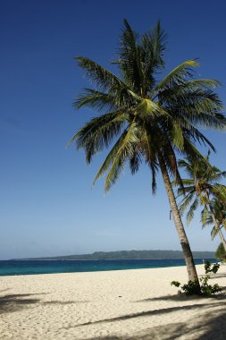 Boracay beach, Filipinler