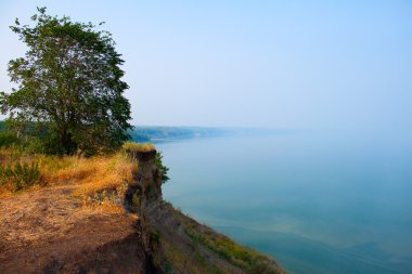 ağaç sisli Nehri üzerinde