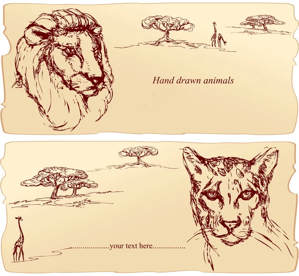 Têtes de lion et de guépard . — Image vectorielle