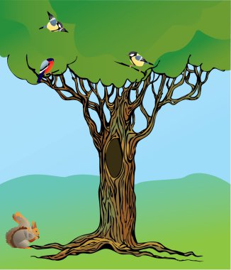 Fairy-tale rooted oak tree, squirrel and birds. clipart