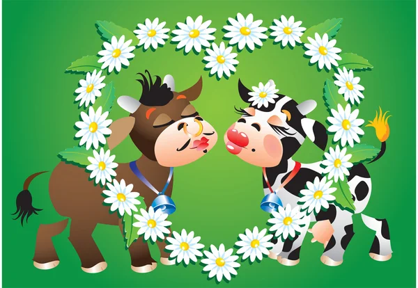 Cartoon kissing cows and camomile border — Stock Vector