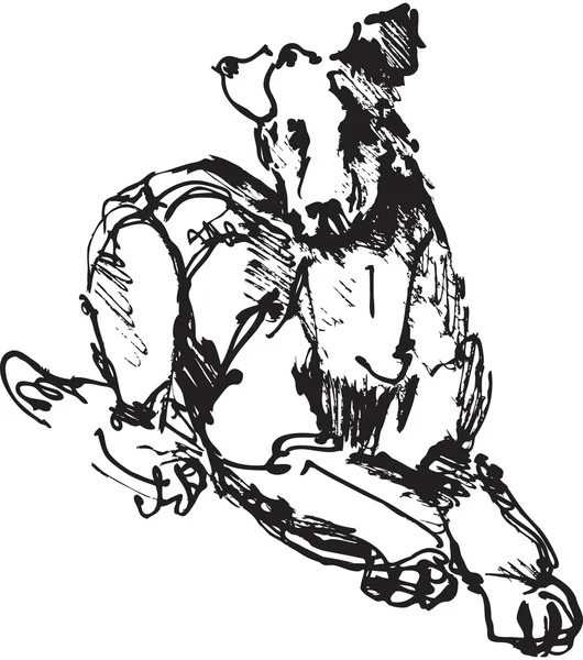 Bosquejo de tinta de perro: jugando joven terrier (imagen en blanco y negro ) — Vector de stock