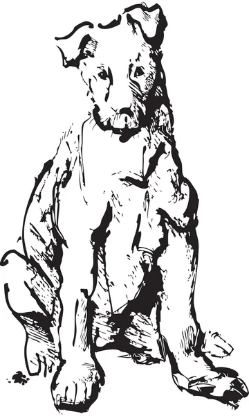 El boceto de tinta del perro - el terrier joven. imagen en blanco y negro — Vector de stock