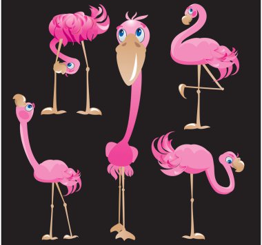 Flamingos cartoons. clipart