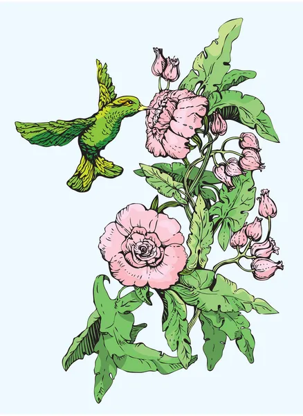 コリブリと花. — ストックベクタ