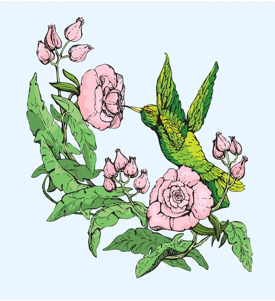 Colibri ve çiçekler. — Stok Vektör