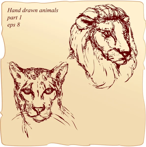 Ritratto a inchiostro disegnato a mano schizzo di teste di leone e ghepardo — Vettoriale Stock