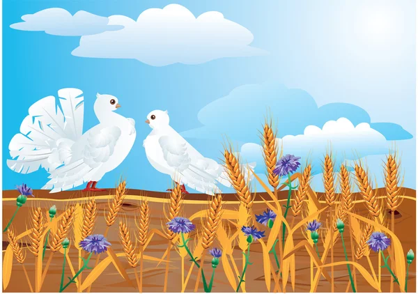 Paar weiße Tauben mit schönen sommerlichen Wildblumen und Ähren. — Stockvektor