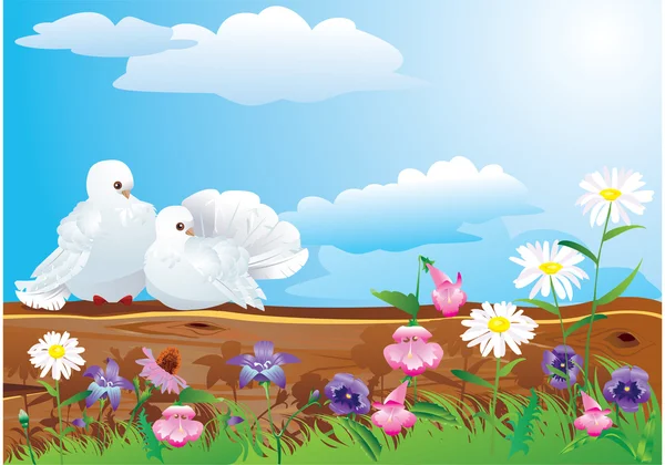 Pareja de palomas blancas con hermosas flores silvestres de verano . — Vector de stock