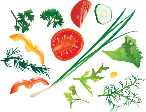 Reihe von bunten isolierten Gemüse — Stockvektor